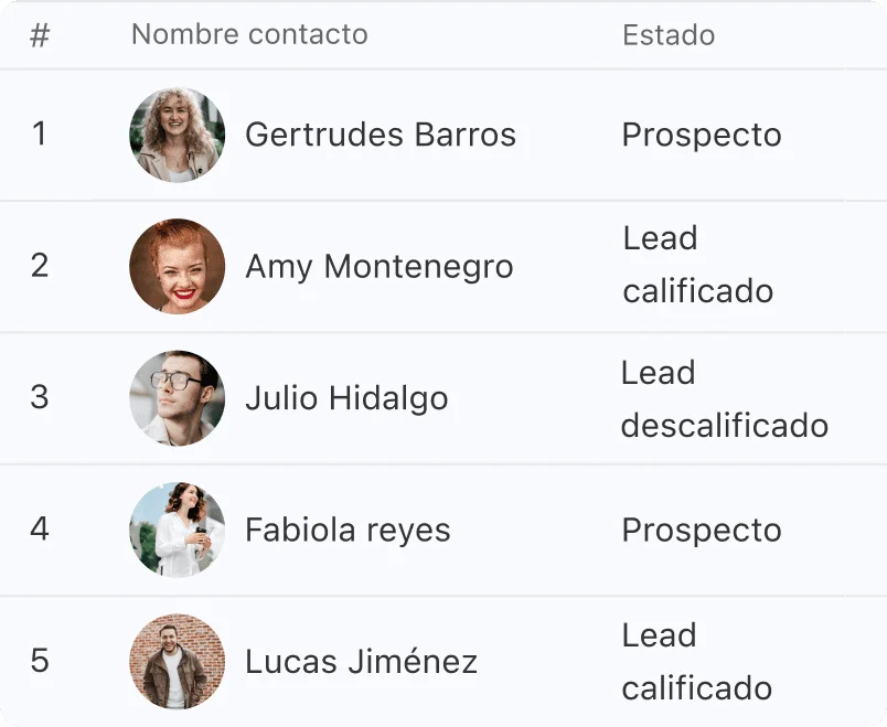 Chatbot calificando leads según la conversación